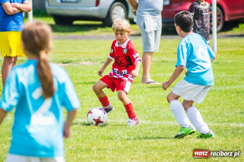 Zdjęcie w galerii na portalu naszraciborz.pl: Piłkarskie zmagania żaków młodszych podczas Tworków Cup 2018 wiadomości z regionu