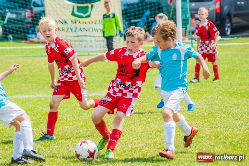 Zdjęcie w galerii na portalu naszraciborz.pl: Piłkarskie zmagania żaków młodszych podczas Tworków Cup 2018 wiadomości z regionu