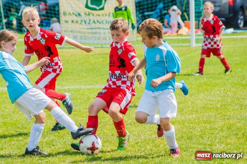 Zdjęcie w galerii na portalu naszraciborz.pl: Piłkarskie zmagania żaków młodszych podczas Tworków Cup 2018 wiadomości z regionu