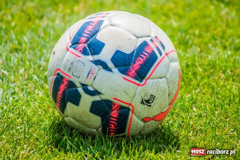Zdjęcie w galerii na portalu naszraciborz.pl: Piłkarskie zmagania żaków młodszych podczas Tworków Cup 2018 wiadomości z regionu