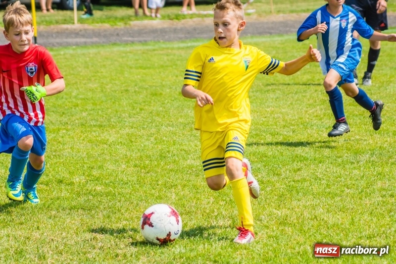 Zdjęcie w galerii na portalu naszraciborz.pl: Piłkarskie zmagania żaków młodszych podczas Tworków Cup 2018 wiadomości z regionu