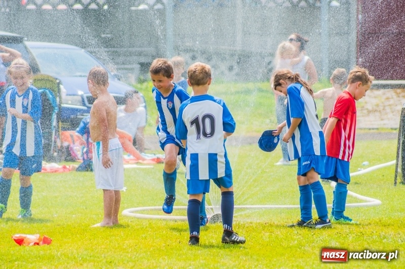 Zdjęcie w galerii na portalu naszraciborz.pl: Piłkarskie zmagania żaków młodszych podczas Tworków Cup 2018 wiadomości z regionu
