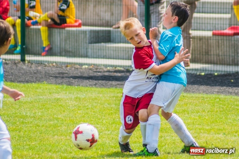 Zdjęcie w galerii na portalu naszraciborz.pl: Piłkarskie zmagania żaków młodszych podczas Tworków Cup 2018 wiadomości z regionu