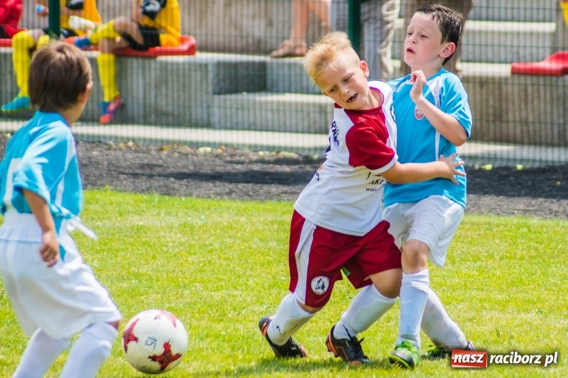 Zdjęcie w galerii na portalu naszraciborz.pl: Piłkarskie zmagania żaków młodszych podczas Tworków Cup 2018 wiadomości z regionu