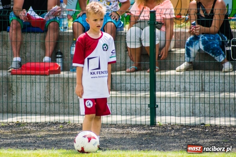 Zdjęcie w galerii na portalu naszraciborz.pl: Piłkarskie zmagania żaków młodszych podczas Tworków Cup 2018 wiadomości z regionu