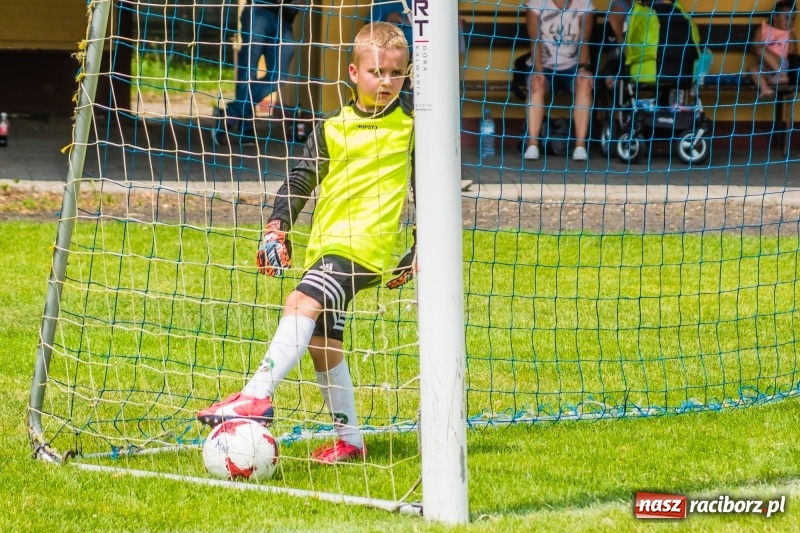 Zdjęcie w galerii na portalu naszraciborz.pl: Piłkarskie zmagania żaków młodszych podczas Tworków Cup 2018 wiadomości z regionu