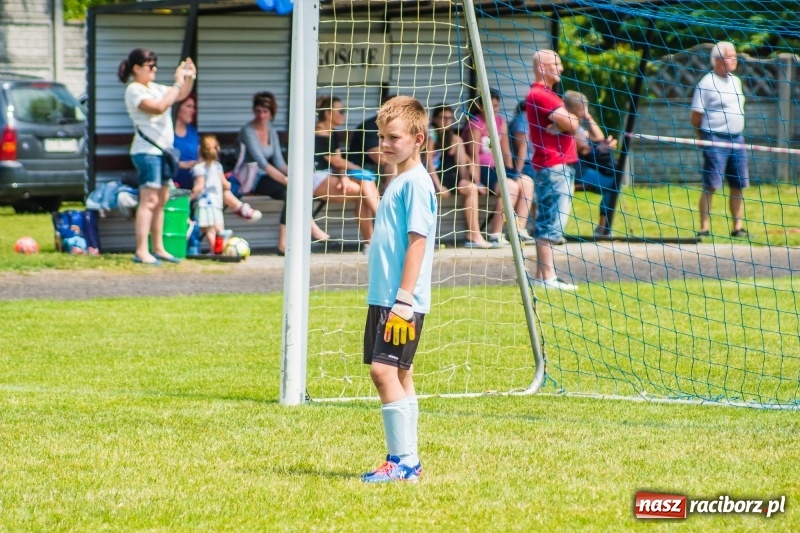 Zdjęcie w galerii na portalu naszraciborz.pl: Piłkarskie zmagania żaków młodszych podczas Tworków Cup 2018 wiadomości z regionu