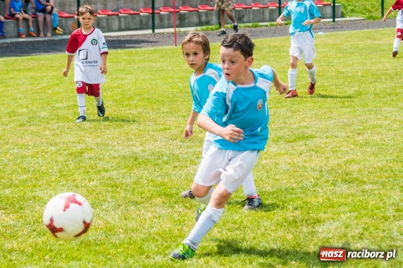 Zdjęcie w galerii na portalu naszraciborz.pl: Piłkarskie zmagania żaków młodszych podczas Tworków Cup 2018 wiadomości z regionu