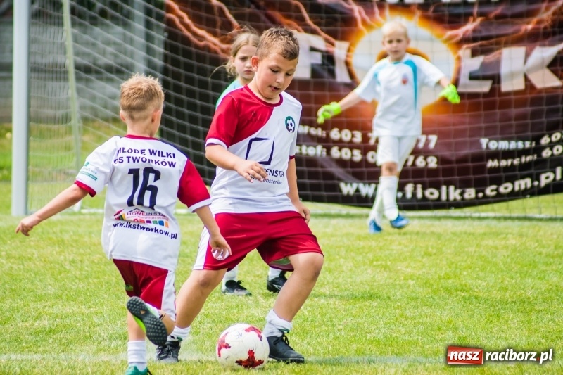 Zdjęcie w galerii na portalu naszraciborz.pl: Piłkarskie zmagania żaków młodszych podczas Tworków Cup 2018 wiadomości z regionu