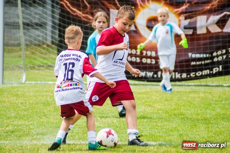 Zdjęcie w galerii na portalu naszraciborz.pl: Piłkarskie zmagania żaków młodszych podczas Tworków Cup 2018 wiadomości z regionu