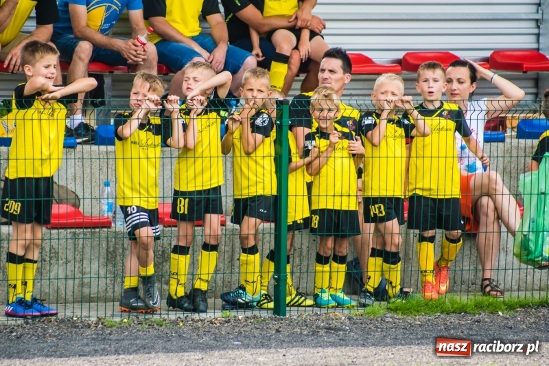 Zdjęcie w galerii na portalu naszraciborz.pl: Piłkarskie zmagania żaków młodszych podczas Tworków Cup 2018 wiadomości z regionu