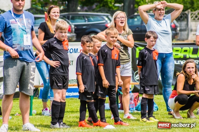 Zdjęcie w galerii na portalu naszraciborz.pl: Piłkarskie zmagania żaków młodszych podczas Tworków Cup 2018 wiadomości z regionu
