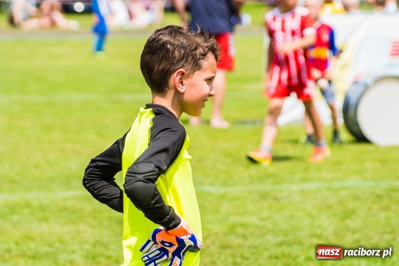 Zdjęcie w galerii na portalu naszraciborz.pl: Piłkarskie zmagania żaków młodszych podczas Tworków Cup 2018 wiadomości z regionu