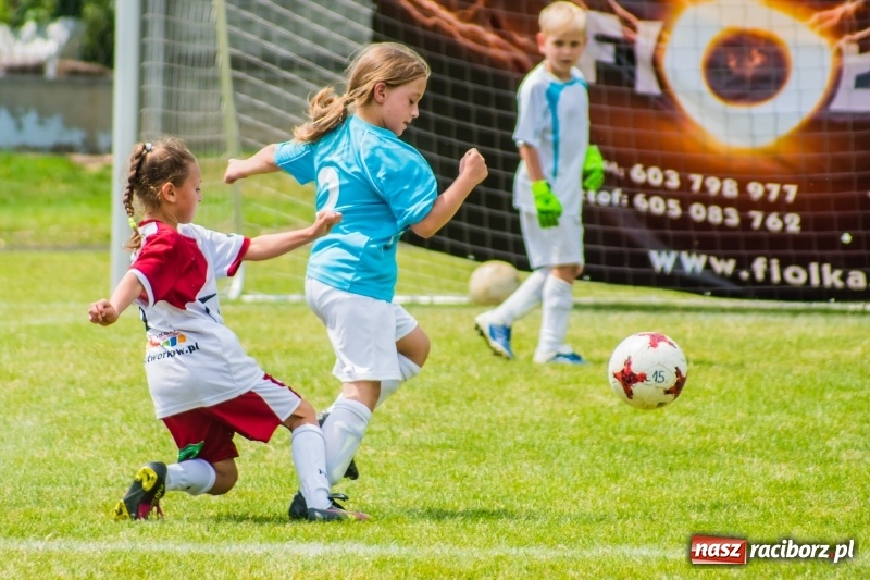 Zdjęcie w galerii na portalu naszraciborz.pl: Piłkarskie zmagania żaków młodszych podczas Tworków Cup 2018 wiadomości z regionu