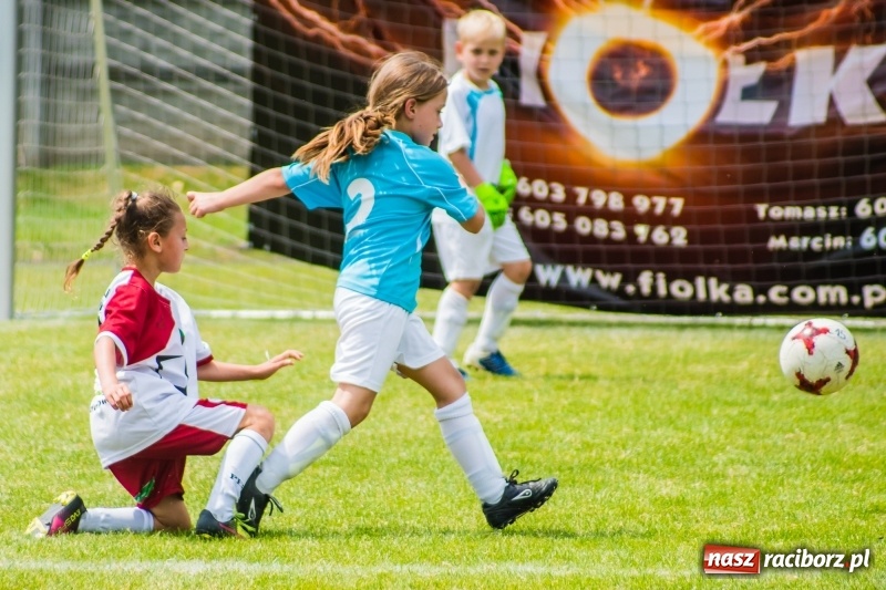 Zdjęcie w galerii na portalu naszraciborz.pl: Piłkarskie zmagania żaków młodszych podczas Tworków Cup 2018 wiadomości z regionu