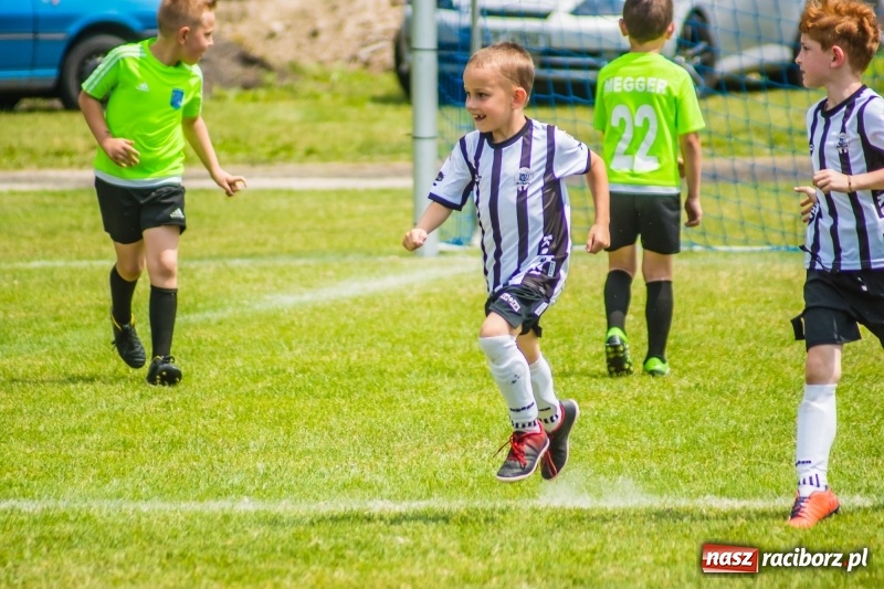 Zdjęcie w galerii na portalu naszraciborz.pl: Piłkarskie zmagania żaków młodszych podczas Tworków Cup 2018 wiadomości z regionu
