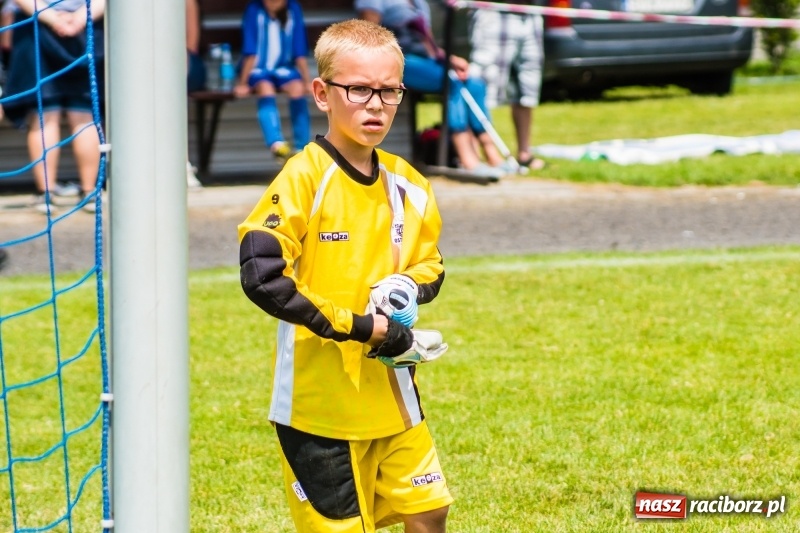 Zdjęcie w galerii na portalu naszraciborz.pl: Piłkarskie zmagania żaków młodszych podczas Tworków Cup 2018 wiadomości z regionu