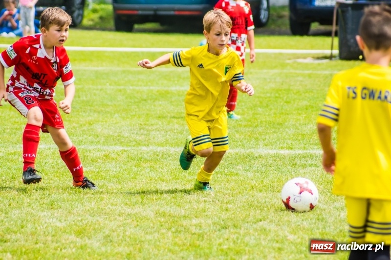 Zdjęcie w galerii na portalu naszraciborz.pl: Piłkarskie zmagania żaków młodszych podczas Tworków Cup 2018 wiadomości z regionu