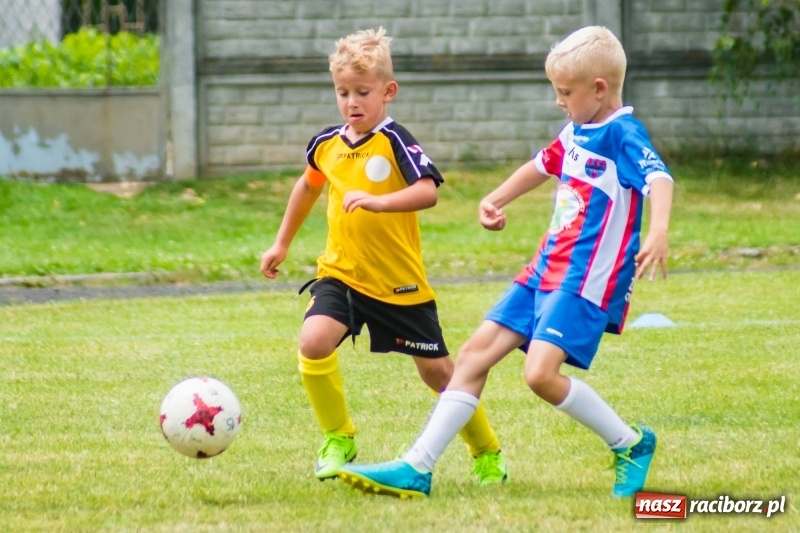 Zdjęcie w galerii na portalu naszraciborz.pl: Piłkarskie zmagania żaków młodszych podczas Tworków Cup 2018 wiadomości z regionu