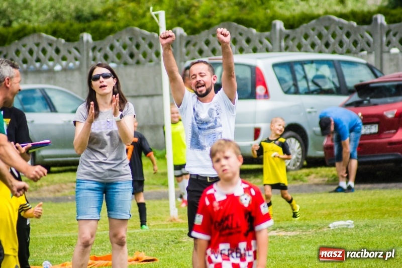 Zdjęcie w galerii na portalu naszraciborz.pl: Piłkarskie zmagania żaków młodszych podczas Tworków Cup 2018 wiadomości z regionu