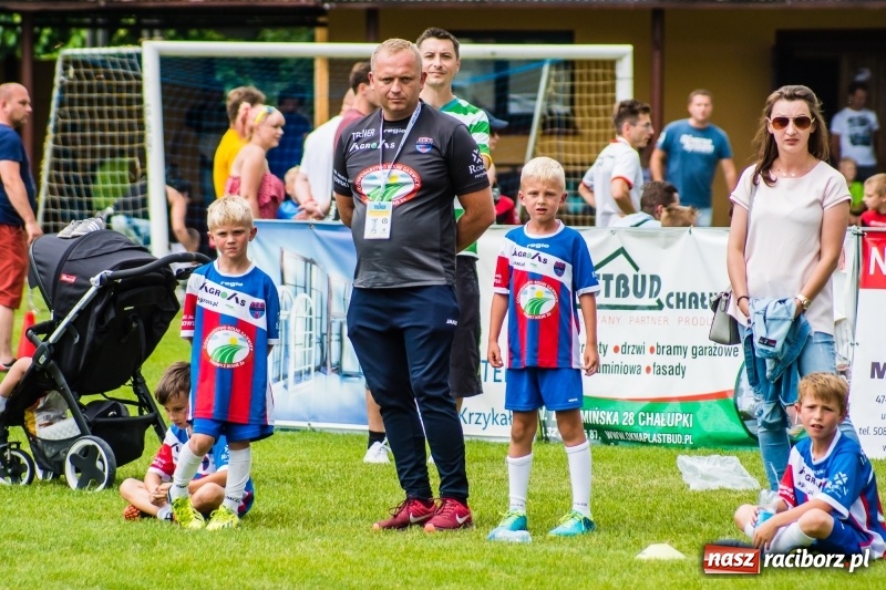 Zdjęcie w galerii na portalu naszraciborz.pl: Piłkarskie zmagania żaków młodszych podczas Tworków Cup 2018 wiadomości z regionu