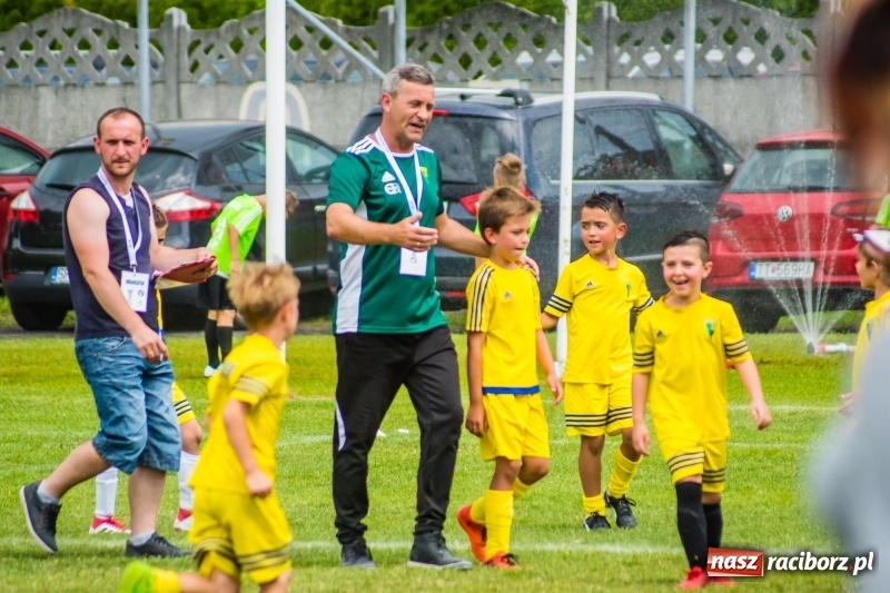 Zdjęcie w galerii na portalu naszraciborz.pl: Piłkarskie zmagania żaków młodszych podczas Tworków Cup 2018 wiadomości z regionu