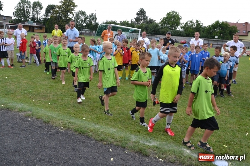 Zdjęcie w galerii na portalu naszraciborz.pl: Piłkarskie zmagania żaków młodszych podczas Tworków Cup 2018 wiadomości z regionu