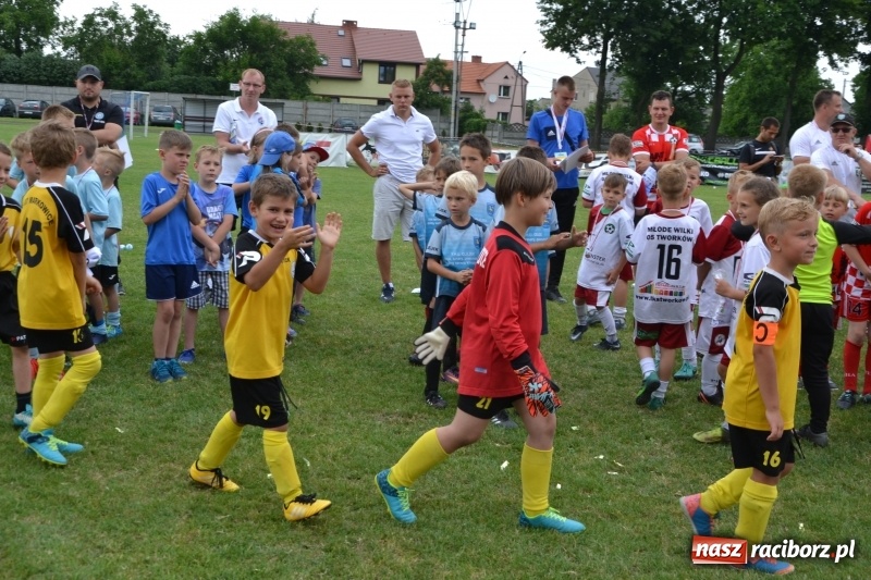 Zdjęcie w galerii na portalu naszraciborz.pl: Piłkarskie zmagania żaków młodszych podczas Tworków Cup 2018 wiadomości z regionu