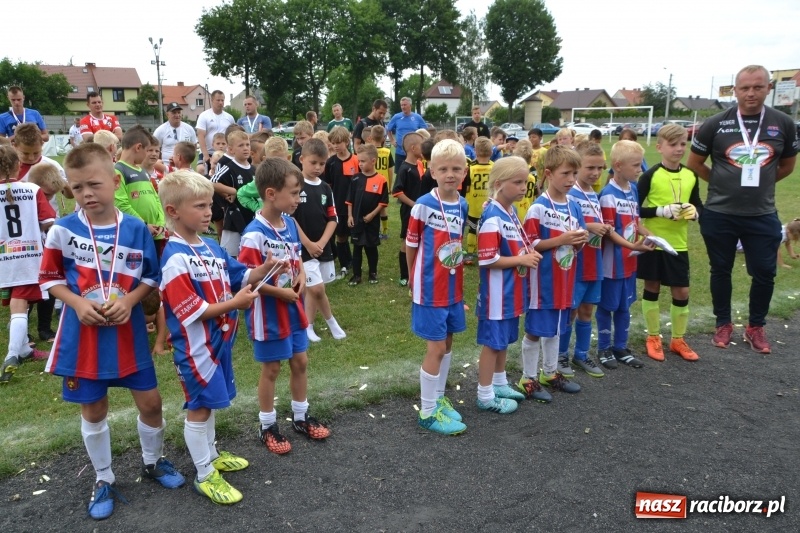 Zdjęcie w galerii na portalu naszraciborz.pl: Piłkarskie zmagania żaków młodszych podczas Tworków Cup 2018 wiadomości z regionu
