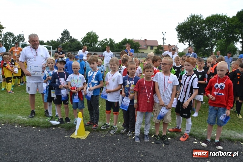 Zdjęcie w galerii na portalu naszraciborz.pl: Piłkarskie zmagania żaków młodszych podczas Tworków Cup 2018 wiadomości z regionu