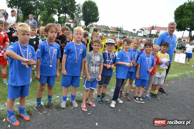 Zdjęcie w galerii na portalu naszraciborz.pl: Piłkarskie zmagania żaków młodszych podczas Tworków Cup 2018 wiadomości z regionu