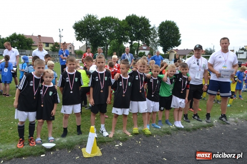Zdjęcie w galerii na portalu naszraciborz.pl: Piłkarskie zmagania żaków młodszych podczas Tworków Cup 2018 wiadomości z regionu