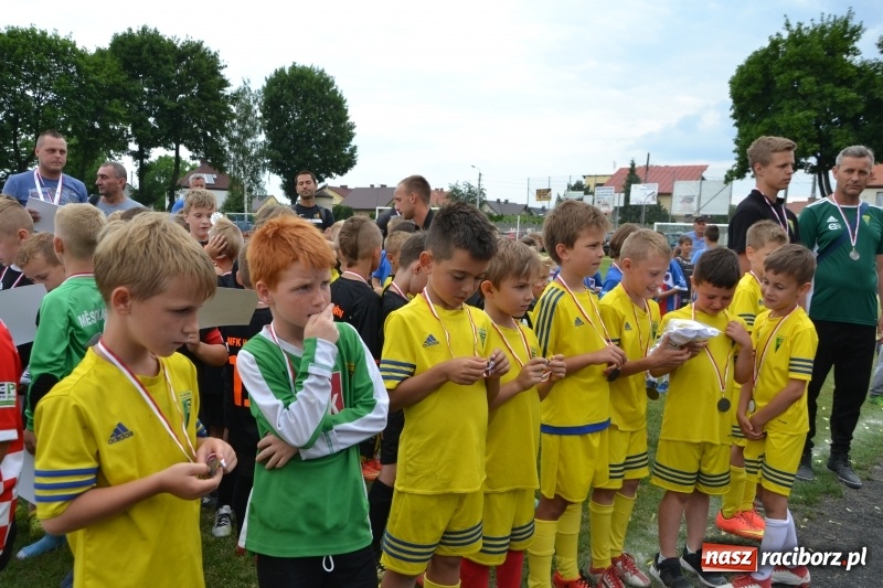 Zdjęcie w galerii na portalu naszraciborz.pl: Piłkarskie zmagania żaków młodszych podczas Tworków Cup 2018 wiadomości z regionu