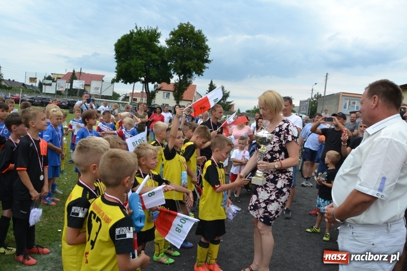 Zdjęcie w galerii na portalu naszraciborz.pl: Piłkarskie zmagania żaków młodszych podczas Tworków Cup 2018 wiadomości z regionu