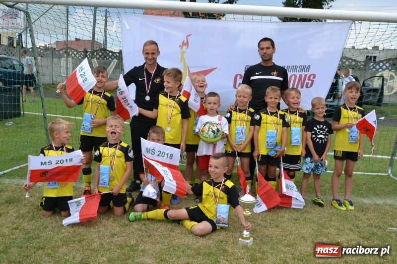 Zdjęcie w galerii na portalu naszraciborz.pl: Piłkarskie zmagania żaków młodszych podczas Tworków Cup 2018 wiadomości z regionu