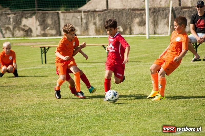 Zdjęcie w galerii na portalu naszraciborz.pl: Drugie miejsce żaków KS Rafako na Lhotka Cup 2018 w Ostrawie wiadomości z regionu