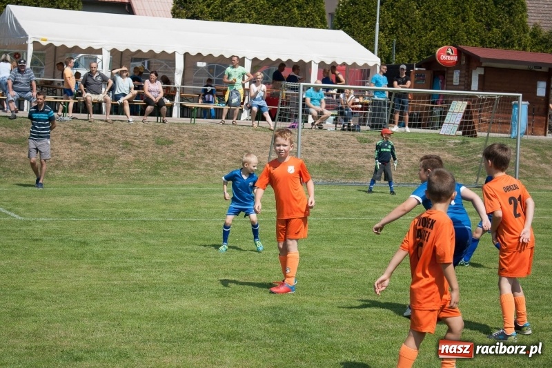 Zdjęcie w galerii na portalu naszraciborz.pl: Drugie miejsce żaków KS Rafako na Lhotka Cup 2018 w Ostrawie wiadomości z regionu