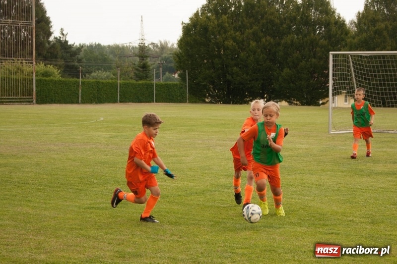 Zdjęcie w galerii na portalu naszraciborz.pl: Drugie miejsce żaków KS Rafako na Lhotka Cup 2018 w Ostrawie wiadomości z regionu