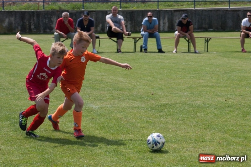 Zdjęcie w galerii na portalu naszraciborz.pl: Drugie miejsce żaków KS Rafako na Lhotka Cup 2018 w Ostrawie wiadomości z regionu