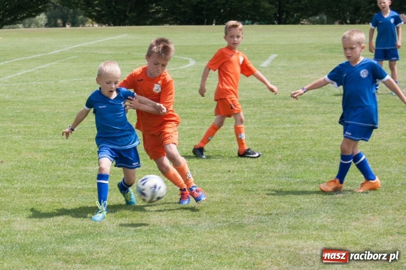 Zdjęcie w galerii na portalu naszraciborz.pl: Drugie miejsce żaków KS Rafako na Lhotka Cup 2018 w Ostrawie wiadomości z regionu