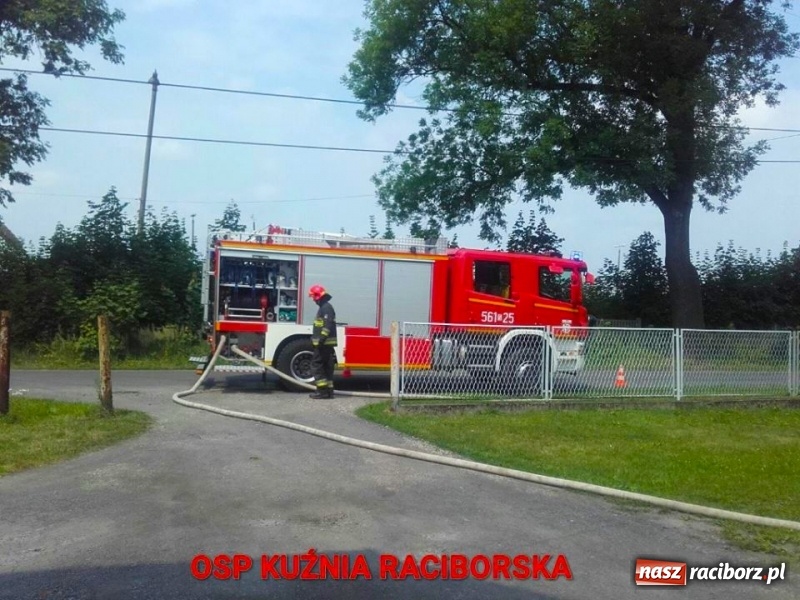Zdjęcie w galerii na portalu naszraciborz.pl: W Nędzy spłonęła drewniana szopa. Ktoś celowo zaprószył ogień  wiadomości z regionu