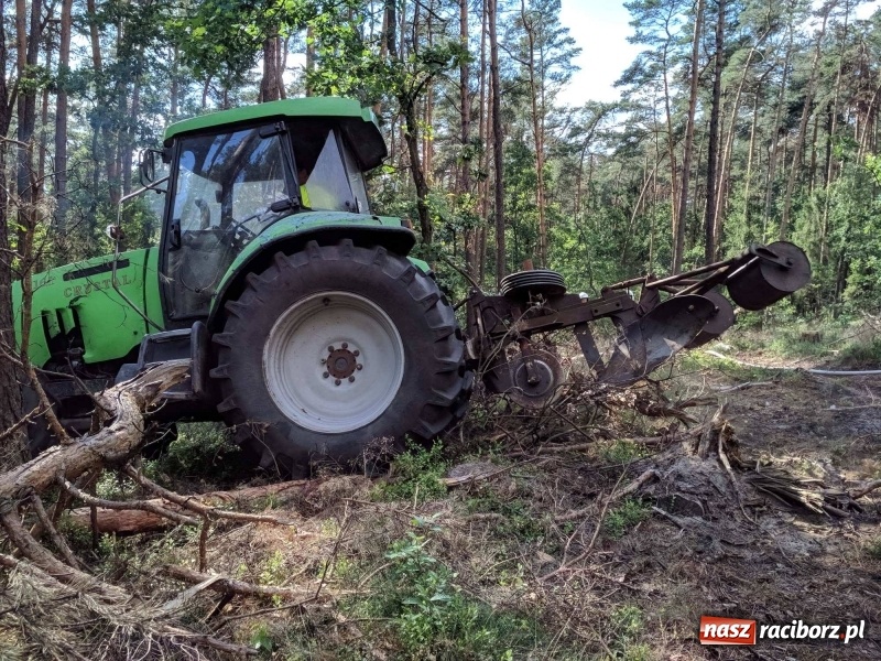 Zdjęcie w galerii na portalu naszraciborz.pl: Pożar lasu w leśnictwie Szymocice. Prawdopodobnie było to podpalenie!  wiadomości z regionu