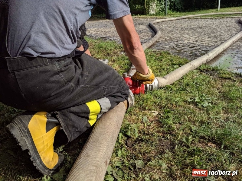 Zdjęcie w galerii na portalu naszraciborz.pl: Pożar lasu w leśnictwie Szymocice. Prawdopodobnie było to podpalenie!  wiadomości z regionu