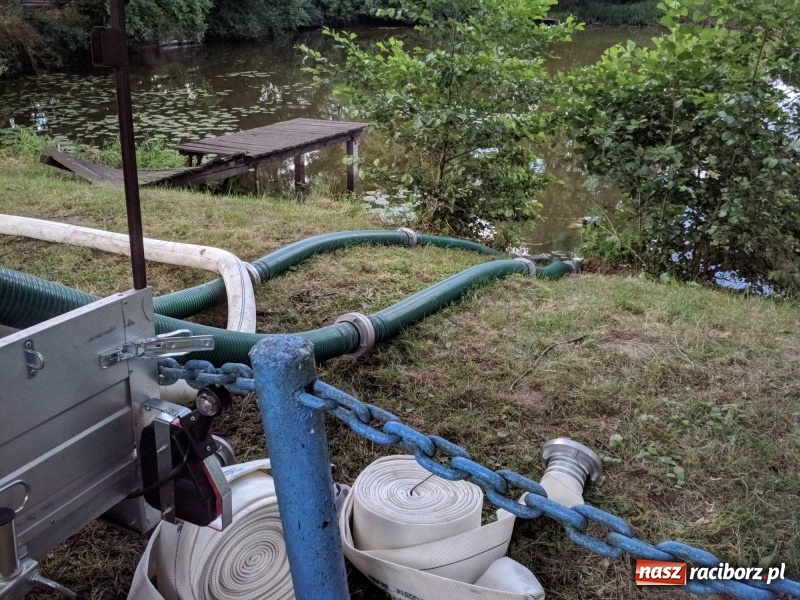 Zdjęcie w galerii na portalu naszraciborz.pl: Pożar lasu w leśnictwie Szymocice. Prawdopodobnie było to podpalenie!  wiadomości z regionu