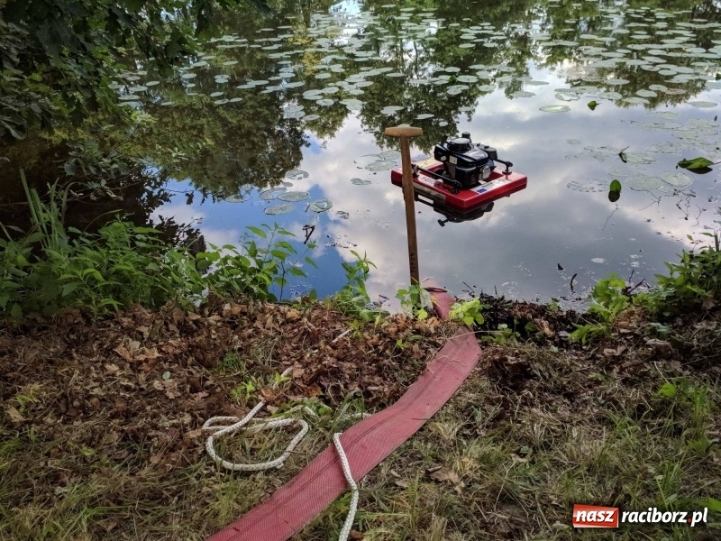 Zdjęcie w galerii na portalu naszraciborz.pl: Pożar lasu w leśnictwie Szymocice. Prawdopodobnie było to podpalenie!  wiadomości z regionu