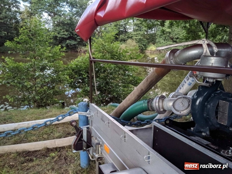 Zdjęcie w galerii na portalu naszraciborz.pl: Pożar lasu w leśnictwie Szymocice. Prawdopodobnie było to podpalenie!  wiadomości z regionu