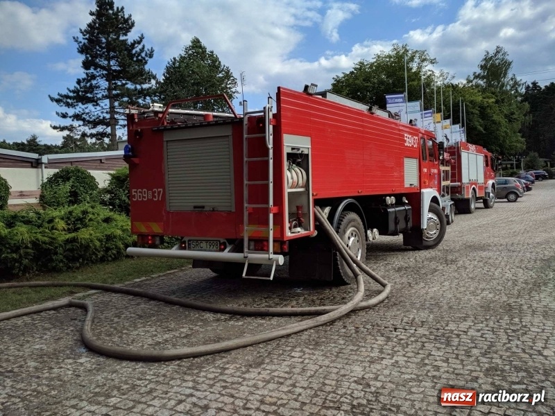 Zdjęcie w galerii na portalu naszraciborz.pl: Pożar lasu w leśnictwie Szymocice. Prawdopodobnie było to podpalenie!  wiadomości z regionu