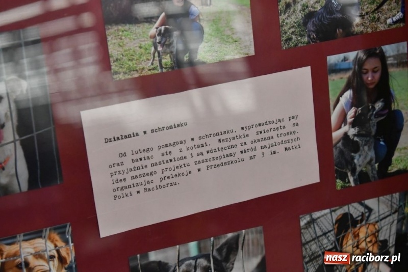 Zdjęcie w galerii na portalu naszraciborz.pl: Uczniowie SP 4 zebrali ponad 900 kilogramów karmy dla zwierząt wiadomości z regionu