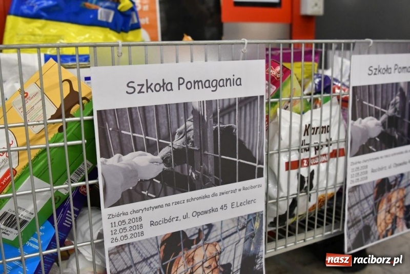 Zdjęcie w galerii na portalu naszraciborz.pl: Uczniowie SP 4 zebrali ponad 900 kilogramów karmy dla zwierząt wiadomości z regionu