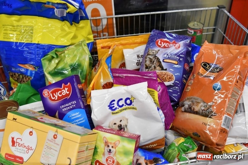 Zdjęcie w galerii na portalu naszraciborz.pl: Uczniowie SP 4 zebrali ponad 900 kilogramów karmy dla zwierząt wiadomości z regionu
